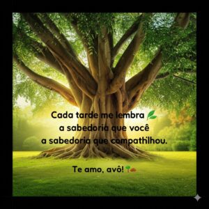 BOA TARDE AVÔ