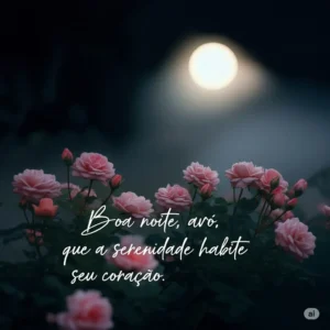 boa noite avó
