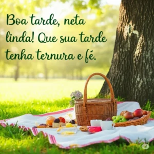 Boa tarde neta