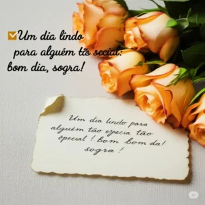 Bom Dia Sogra