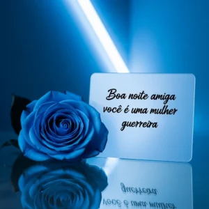 Boa noite amiga linda